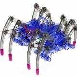 新阳光科教模型组装玩具 亚马逊上的STEM启蒙新宠